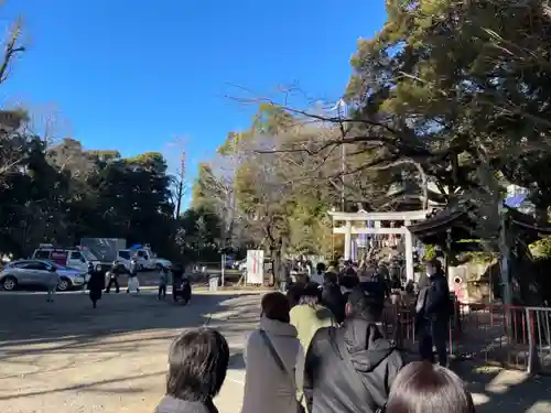 雪ケ谷八幡神社の鳥居