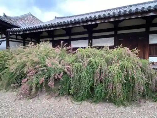 元興寺の本殿・本堂