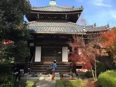 安楽寺の本殿・本堂