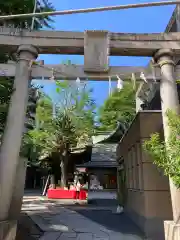 小野照崎神社の鳥居