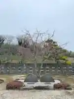 神社の{uncategorized: "未分類", other: "その他", undefined: "問題あり", building: "その他建物", grave: "お墓", sacred_gate: "鳥居", guardian: "狛犬", statue: "像", buddha: "仏像", history: "歴史", nature: "自然", garden: "庭園", animal: "動物", pagoda: "塔", temizu: "手水舎", mountain_gate: "山門・神門", sanctuary: "本殿・本堂", subordinate: "末社・摂社", art: "芸術", scenery: "景色", jizo: "地蔵", ema: "絵馬", goshuin: "御朱印", omikuji: "おみくじ", items: "授与品その他", amulet: "お守り", goshuincho: "御朱印帳", eats: "食事", festival: "お祭り", votive_dance: "神楽", shichigosan: "七五三参", wedding: "結婚式", experience: "体験その他", initially: "初詣", around: "周辺", anti_infection: "感染症対策"}