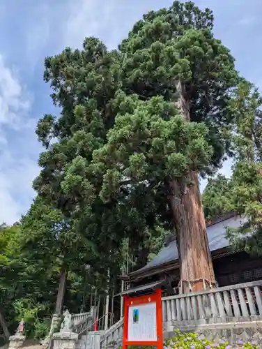 鼬幣稲荷神社(岩手県)