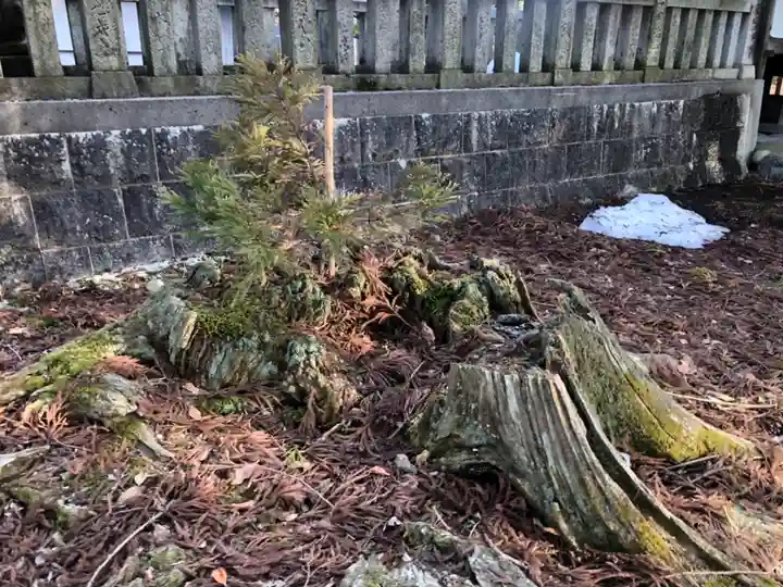 杉原神社(富山県)