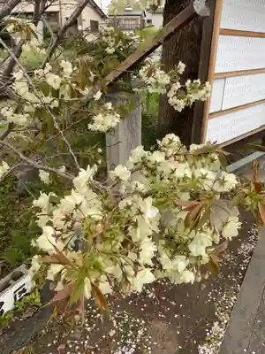 上地八幡宮(愛知県)