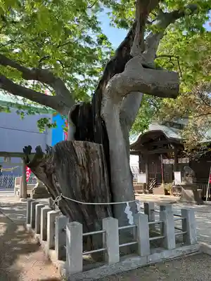 阿邪訶根神社(福島県)