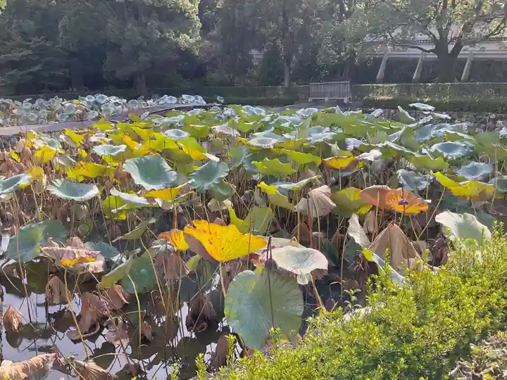 東福禅寺(東福寺)(京都府)