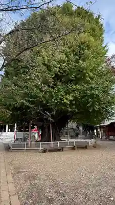 千葉寺(千葉県)