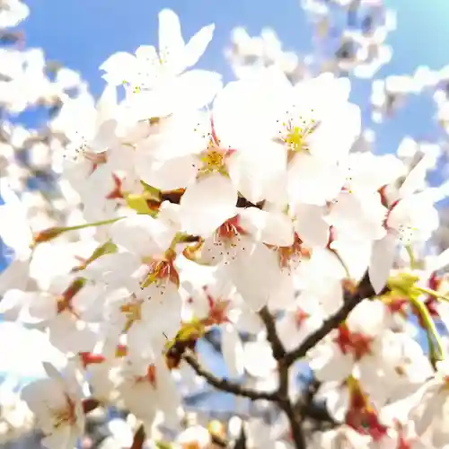 大生神社の自然