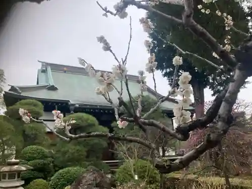 東覺院(東京都)