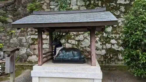 吉田神社の狛犬