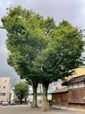 浅間神社(東京都)
