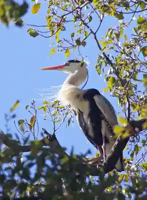 三津厳島神社(愛媛県)