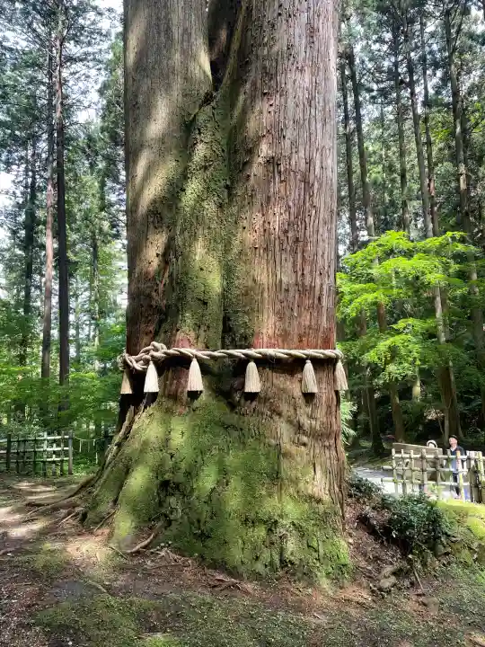 御岩神社(茨城県)