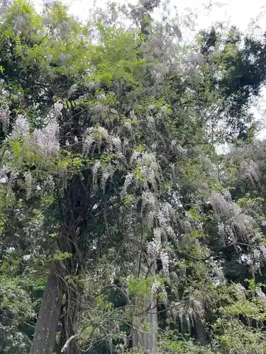 歌泉堂（春日大社神苑萬葉植物園内鎮座）(奈良県)