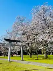 守りの神　藤基神社(新潟県)