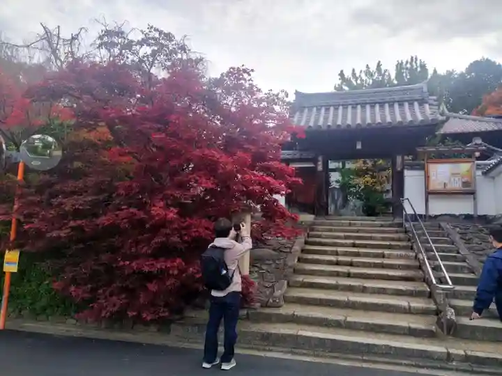 光明院(光明禅院)(京都府)