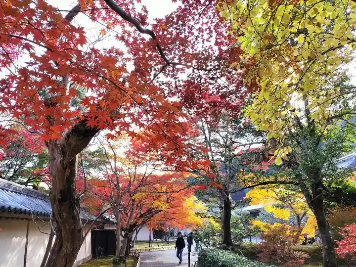 二尊院(京都府)