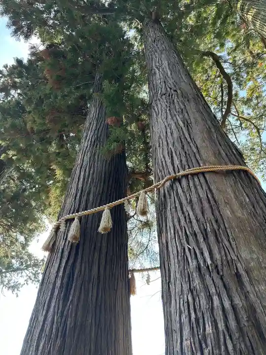 日枝神社(静岡県)