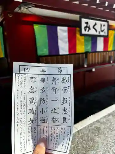 浅草寺のおみくじ