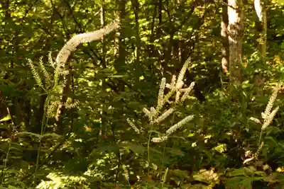 戸隠神社九頭龍社(長野県)