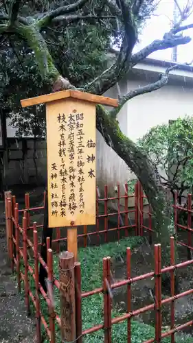 天神社の自然