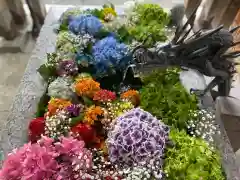 札幌諏訪神社の手水