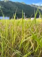 山家神社(長野県)