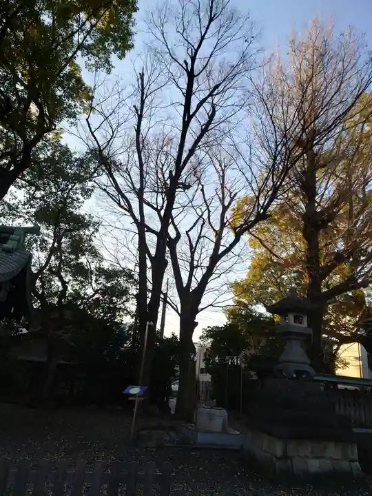 溝旗神社(肇國神社)の庭園