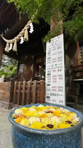 行田八幡神社(埼玉県)