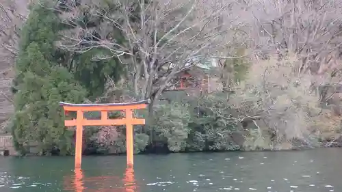 九頭龍神社本宮の鳥居