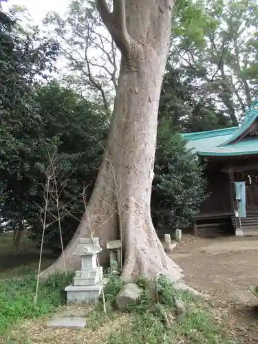 酒門神社(茨城県)