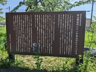 白山神社(岐阜県)