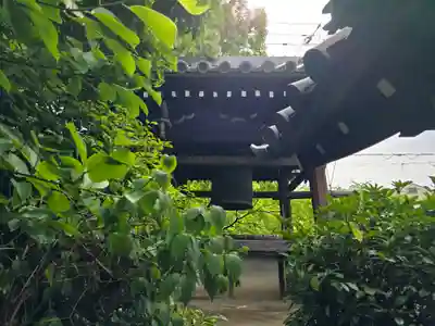 瑞興寺(大阪府)