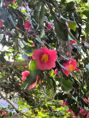 青海神社(新潟県)