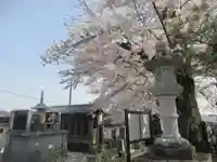 宗青寺(岩手県)