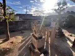 八坂神社の狛犬