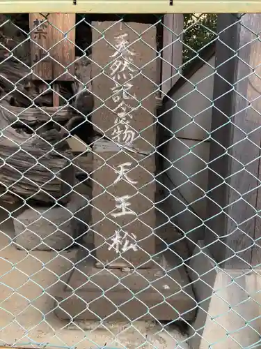 八坂神社(神奈川県)