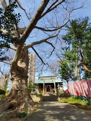 愛宕神社のその他建物