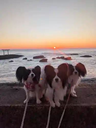 大洗磯前神社の{uncategorized: "未分類", other: "その他", undefined: "問題あり", building: "その他建物", grave: "お墓", sacred_gate: "鳥居", guardian: "狛犬", statue: "像", buddha: "仏像", history: "歴史", nature: "自然", garden: "庭園", animal: "動物", pagoda: "塔", temizu: "手水舎", mountain_gate: "山門・神門", sanctuary: "本殿・本堂", subordinate: "末社・摂社", art: "芸術", scenery: "景色", jizo: "地蔵", ema: "絵馬", goshuin: "御朱印", omikuji: "おみくじ", items: "授与品その他", amulet: "お守り", goshuincho: "御朱印帳", eats: "食事", festival: "お祭り", votive_dance: "神楽", shichigosan: "七五三参", wedding: "結婚式", experience: "体験その他", initially: "初詣", around: "周辺", anti_infection: "感染症対策"}