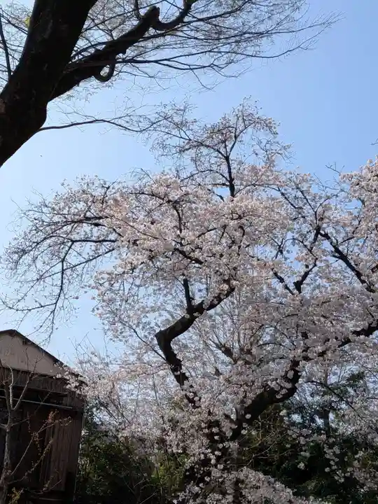 神明氷川神社(東京都)