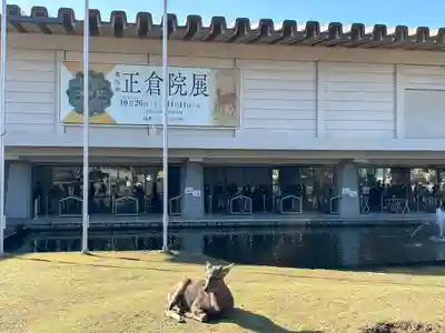 東大寺(奈良県)
