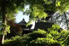 隆国寺の建物その他