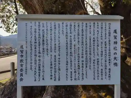 尾鷲神社(三重県)