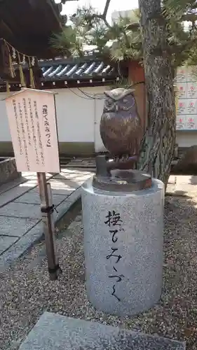 射楯兵主神社(兵庫県)