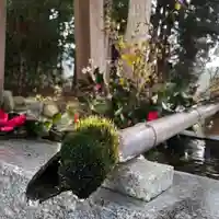 高司神社〜むすびの神の鎮まる社〜(福島県)