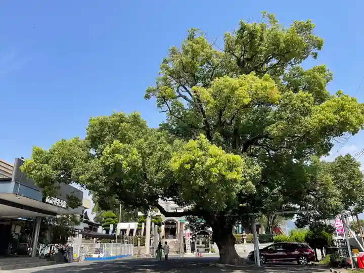 諏訪神社(福岡県)