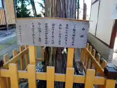 駒形神社(群馬県)