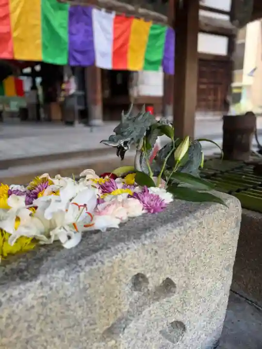 頂法寺(六角堂)の{uncategorized: "未分類", other: "その他", undefined: "問題あり", building: "その他建物", grave: "お墓", sacred_gate: "鳥居", guardian: "狛犬", statue: "像", buddha: "仏像", history: "歴史", nature: "自然", garden: "庭園", animal: "動物", pagoda: "塔", temizu: "手水舎", mountain_gate: "山門・神門", sanctuary: "本殿・本堂", subordinate: "末社・摂社", art: "芸術", scenery: "景色", jizo: "地蔵", ema: "絵馬", goshuin: "御朱印", omikuji: "おみくじ", items: "授与品その他", amulet: "お守り", goshuincho: "御朱印帳", eats: "食事", festival: "お祭り", votive_dance: "神楽", shichigosan: "七五三参", wedding: "結婚式", experience: "体験その他", initially: "初詣", around: "周辺", anti_infection: "感染症対策"}