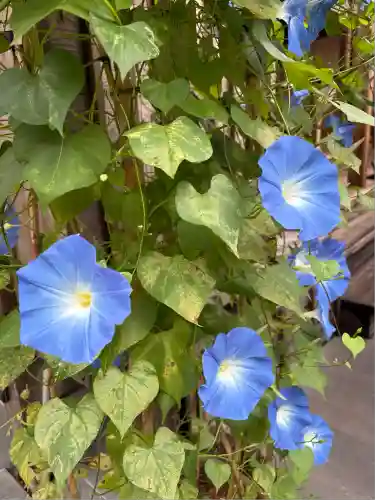 円通院(宮城県)