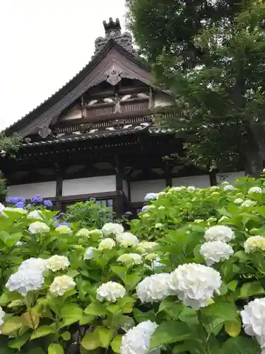 時宗総本山 遊行寺（正式：清浄光寺）の自然